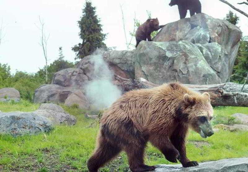 ホテル ソネスタ Es スイーツ ミネアポリス セント ポール エアポート イーガン 設備 写真